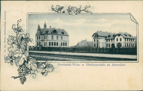 Alte Ansichtskarte Ahrweiler, Provinzial-Wein- u. Obstbauschule