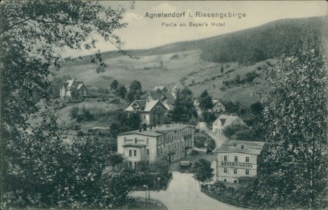 Alte Ansichtskarte Jagniątków / Agnetendorf, Parte an Beyer's Hotel