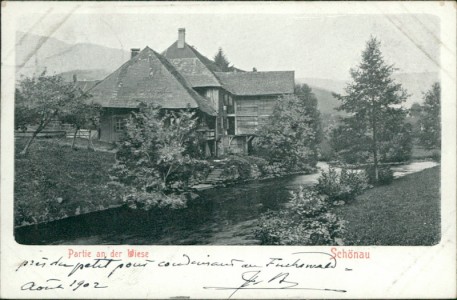 Alte Ansichtskarte Schönau im Schwarzwald, Partie an der Wiese