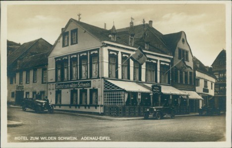 Alte Ansichtskarte Adenau, Hotel zum wilden Schwein