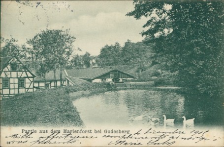 Alte Ansichtskarte Bad Godesberg, Partie aus dem Marienforst