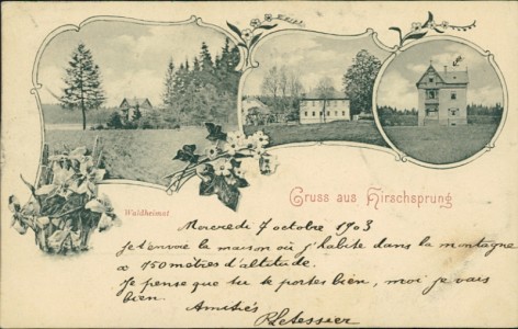 Alte Ansichtskarte Gruss aus Hirschsprung, Waldheimat