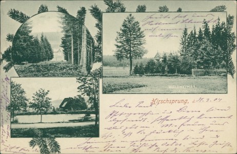 Alte Ansichtskarte Hirschsprung, Waldheimat
