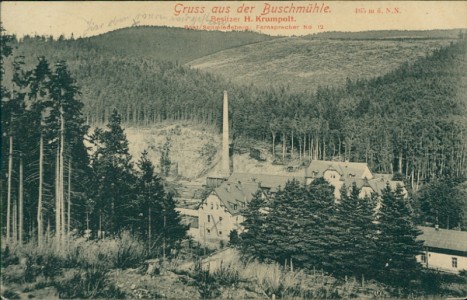 Alte Ansichtskarte Gruss aus der Buschmühle, Post Schmiedeberg