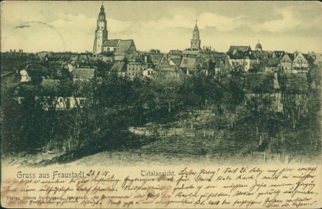 Alte Ansichtskarte Gruss aus Fraustadt, Totalansicht