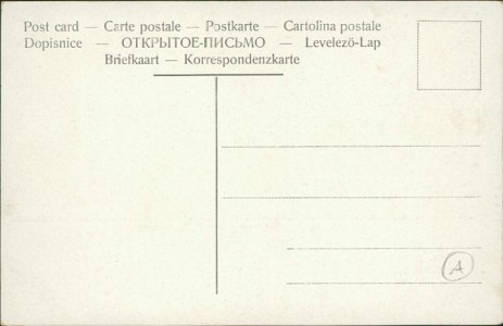 Adressseite der Ansichtskarte Moritzburg, Fütterung der Wildschweine