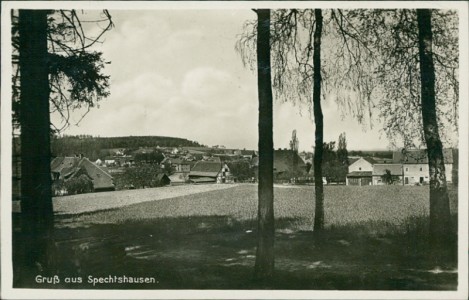 Alte Ansichtskarte Gruß aus Spechtshausen, Teilansicht