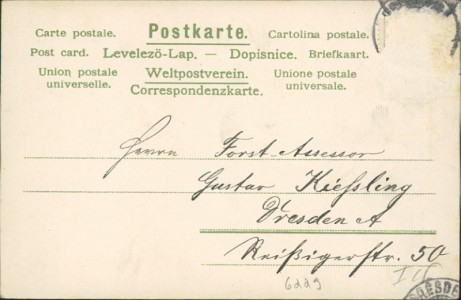 Adressseite der Ansichtskarte Viel Glück im neuen Jahre, Frau hängt Kalender mit Datum 1. Januar 1902 auf