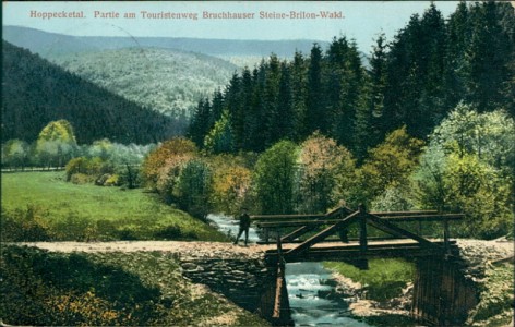 Alte Ansichtskarte Hoppecketal, Partie am Touristenweg Bruchhauser Steine-Brilon-Wald