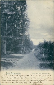 Alte Ansichtskarte Bad Rothenfelde, Partie aus dem Wellengarten