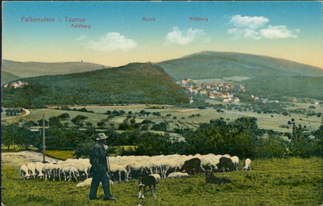 Alte Ansichtskarte Falkenstein i. Taunus, Blick auf Falkenstein mit Schäfer im Vordergrund