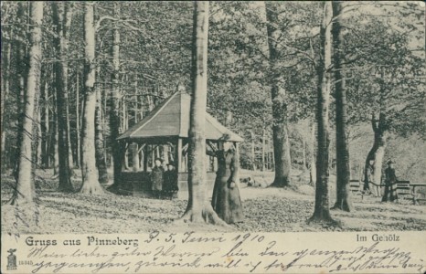 Alte Ansichtskarte Gruss aus Pinneberg, Im Gehölz