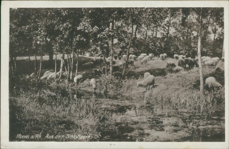 Alte Ansichtskarte Moers a/Rh., Aus dem Schloßpark