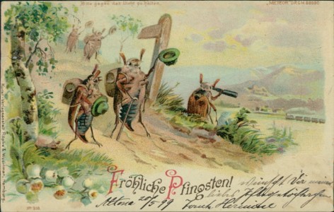 Alte Ansichtskarte Fröhliche Pfingsten, Maikäfer auf Wanderschaft