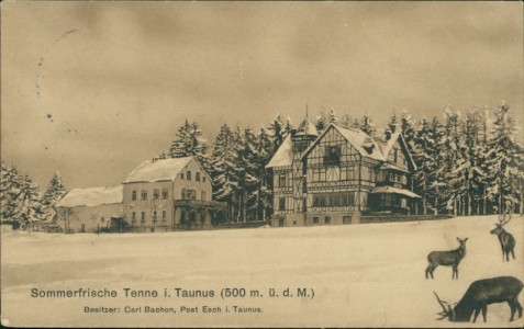 Alte Ansichtskarte Sommerfrische Tenne i. Taunus (500 m. ü. d. M.), Besitzer: Carl Bachon, Post Esch i. Taunus