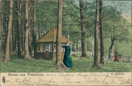 Alte Ansichtskarte Gruss aus Pinneberg, Im Gehölz