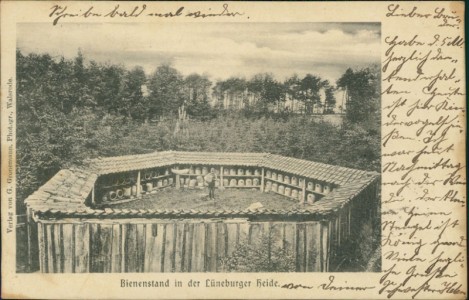 Alte Ansichtskarte Bienenstand in der Lüneburger Heide, 