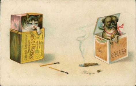 Alte Ansichtskarte Katze in Streichholzschachtel und Hund in Zigarrenkiste, 