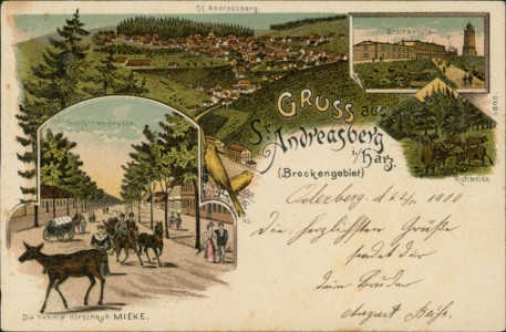 Alte Ansichtskarte Gruss aus St. Andreasberg i./Harz. (Brockengebiet), St. Andreasberg, Brockenhotel, Schützenstrasse, Kuhweide, Die zahme Hirschkuh Mieke