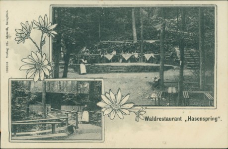 Alte Ansichtskarte Waldrestaurant "Hasenspring", (Karte ohne Ortseindruck, Verlag aus Salzgitter)