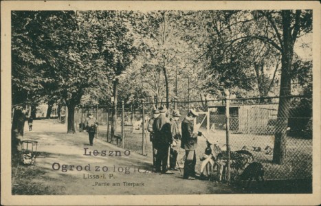 Alte Ansichtskarte Lissa i. P., Partie am Tierpark