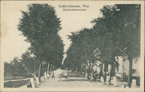 Alte Ansichtskarte Goßlershausen, Wpr., Buchwalderstraße