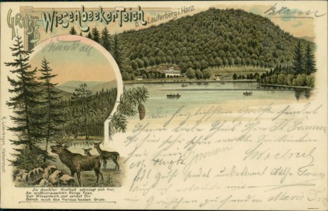 Alte Ansichtskarte Gruss vom Wiesenbeeker Teich b. Lauterberg i. Harz, 