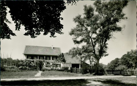 Alte Ansichtskarte Pfälzerwaldhaus Schwarzsohl, Bewirtschaftet vom Pfälzerwald-Verein Ortsgruppe Kaiserslautern e. V.