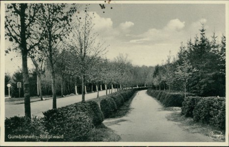 Alte Ansichtskarte Gumbinnen, Stadtwald