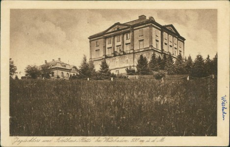 Alte Ansichtskarte Jagdschloss und Forsthaus Platte bei Wiesbaden, 500 m. ü. d. M.