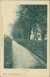 Alte Ansichtskarte Gruss aus Kreuzburg O. S. (Kluczbork), Fliederweg