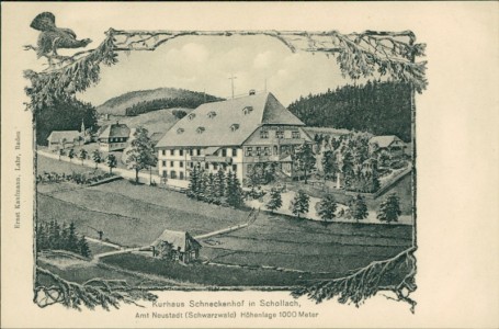 Alte Ansichtskarte Eisenbach (Hochschwarzwald)-Schollach, Kurhaus Schneckenhof