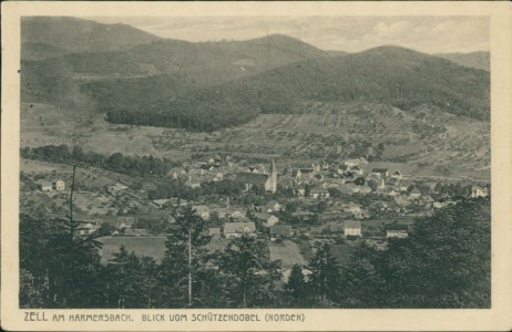 Alte Ansichtskarte Zell am Harmersbach, Blick vom Schützendobel (Norden)