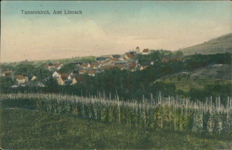 Alte Ansichtskarte Tannenkirch Amt Lörrach, Gesamtansicht