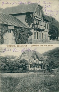 Alte Ansichtskarte Bad Herrenalb, Bahnhotel und Villa Seufer
