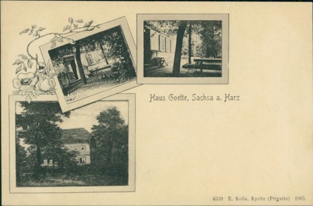 Alte Ansichtskarte Bad Sachsa, Haus Goette