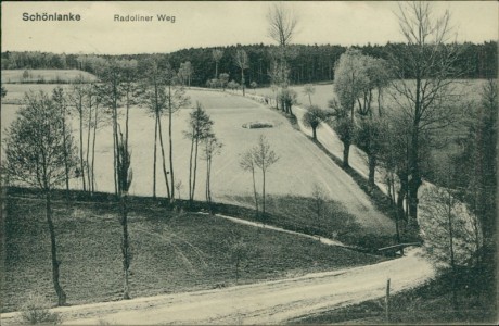 Alte Ansichtskarte Schönlanke / Trzcianka, Radoliner Weg