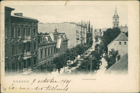 Alte Ansichtskarte Gnesen / Gniezno, Lindenstrasse