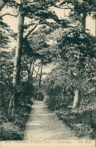 Alte Ansichtskarte Graal-Müritz, Strandweg