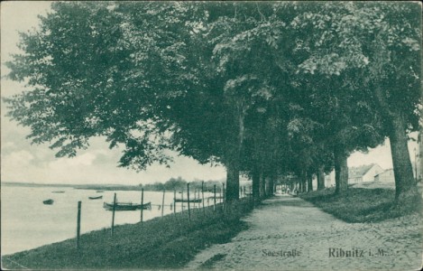 Alte Ansichtskarte Ribnitz-Damgarten, Seestraße