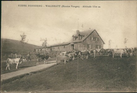 Alte Ansichtskarte Schœnbourg-Waldmatt, Ferme Rossberg