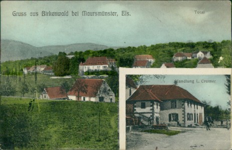 Alte Ansichtskarte Birkenwald bei Maursmünster, Total, Handlung L. Cromer
