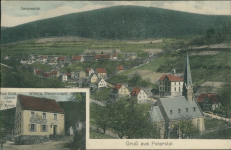 Alte Ansichtskarte Heidelberg-Peterstal, Totalansicht, Wein- u. Bierwirtschaft Zum Gold. Löwen von P. Knapp