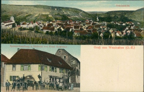 Alte Ansichtskarte Westhalten, Totalansicht, Spezereihandlungu. Bäckerei von Franz Schelcher