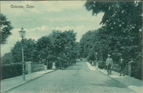 Alte Ansichtskarte Osterode / Ostróda, Allee