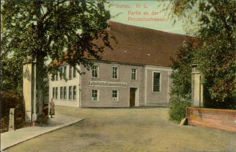 Alte Ansichtskarte Sorau / Żary, Partie an der Promnitzstrasse mit Katholische Gemeinde Schule