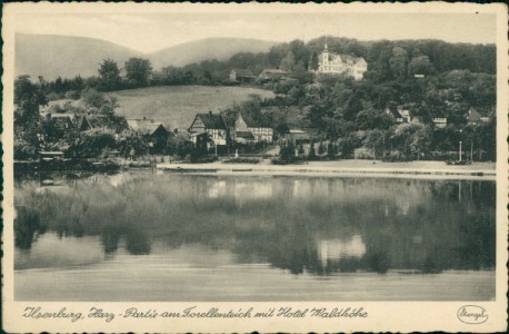 Alte Ansichtskarte Ilsenburg (Harz), Partie am Forellenteich mit Hotel Waldhöhe