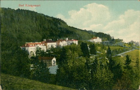 Alte Ansichtskarte Bad Königswart / Lázně Kynžvart, Teilansicht