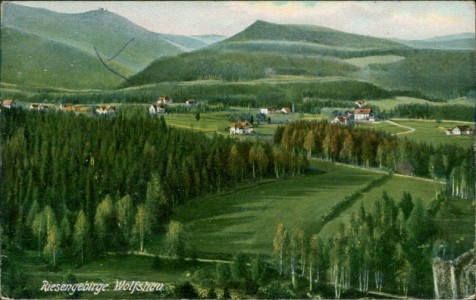 Alte Ansichtskarte Wilcza Poręba / Wolfshau, Panorama