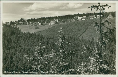 Alte Ansichtskarte Altenberg-Oberbärenburg, Panorama